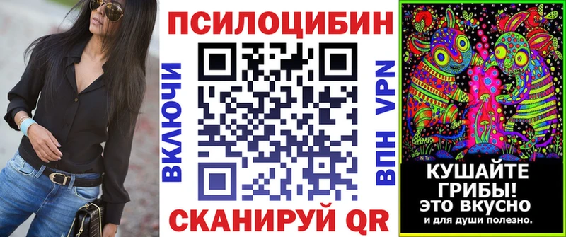 Псилоцибиновые грибы MAGIC MUSHROOMS  блэк спрут ссылки  Севск  наркотики 
